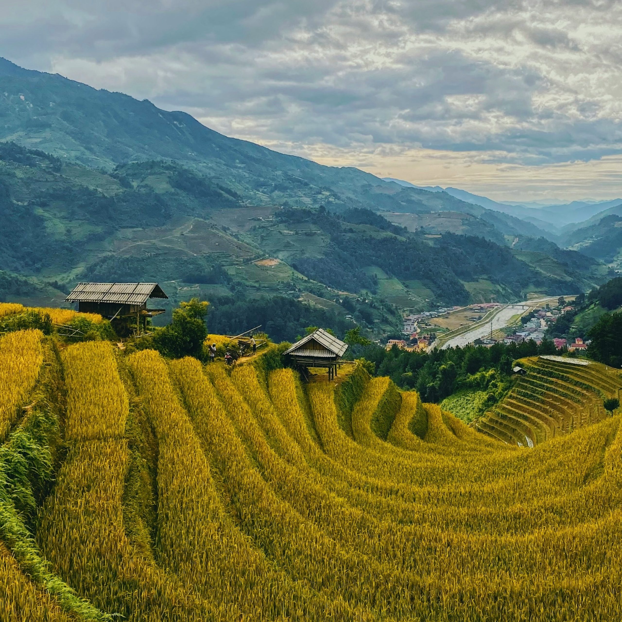 Explore the Best of Northern Vietnam in a 5-Day Journey.